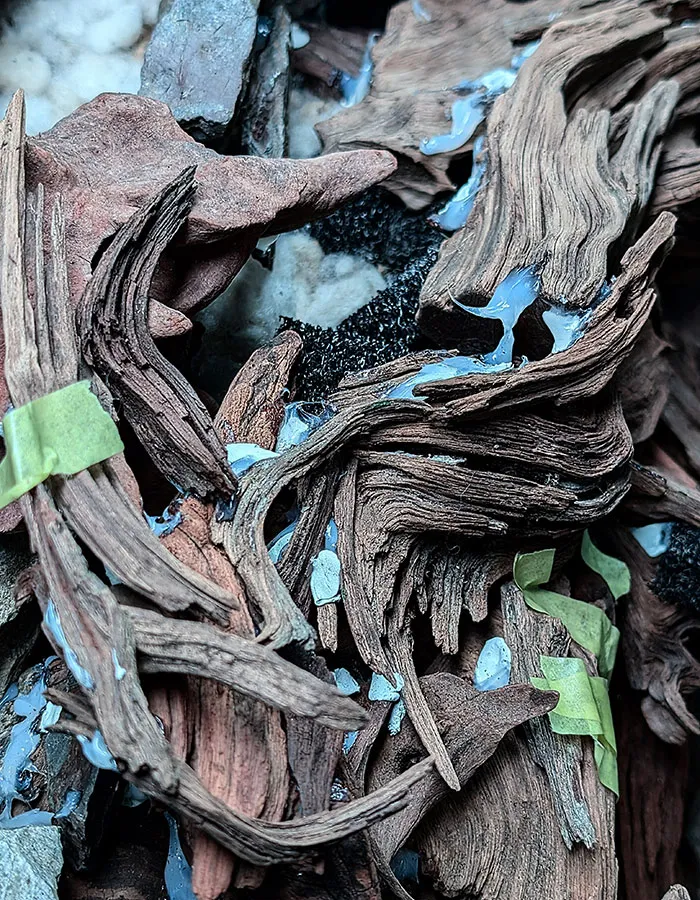 Aquascaping steps - PRIMAL BUST - IAPLC 2025 Silver Prize - Katsuki Tanaka / Japan